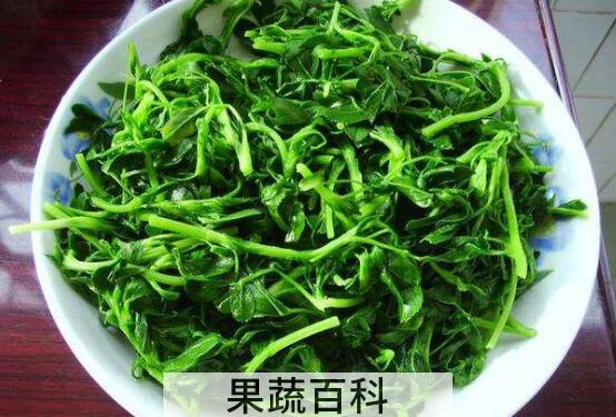 苜蓿怎么做着吃 苜蓿的家常做法大全