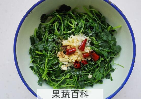 苜蓿怎么做着吃 苜蓿的家常做法大全