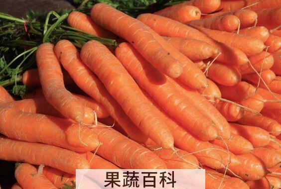 吃什么食物淡斑最快