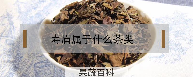 寿眉属于什么茶类
