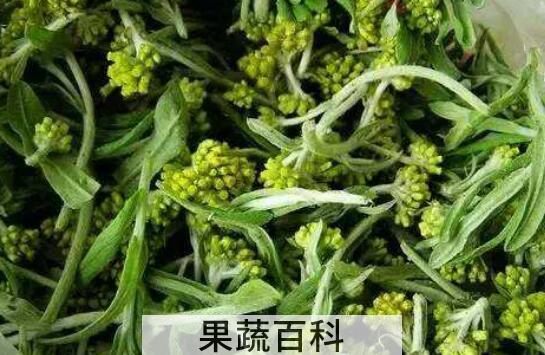 水印草有什么功效与作用