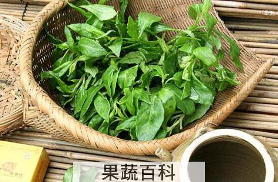 革命菜怎么吃 革命菜怎么做好吃