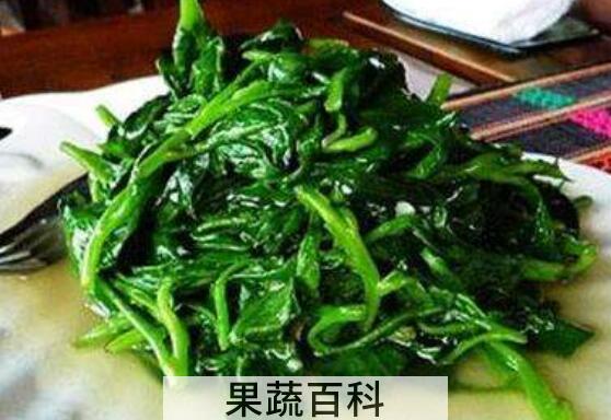 革命菜怎么吃 革命菜怎么做好吃