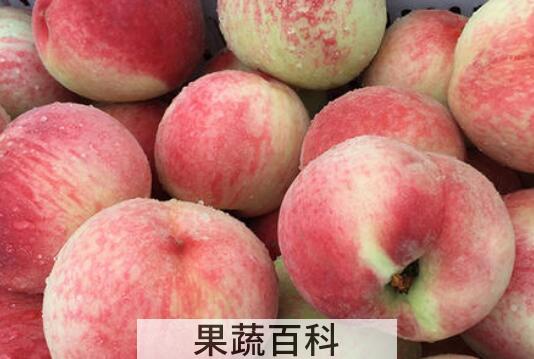 水蜜桃和毛桃有什么区别