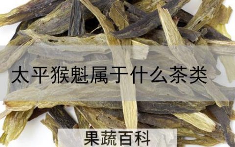 太平猴魁属于什么茶类