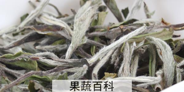 白茶属于什么茶类