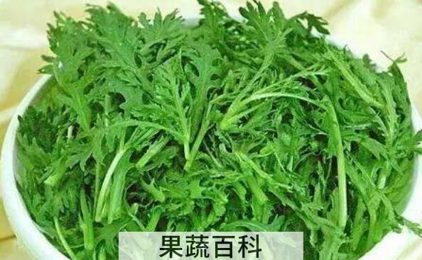 皇帝菜是什么样子 皇帝菜什么人不能吃