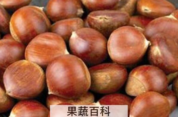 女人吃什么补肾的食物