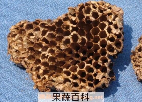 蜜蜂窝怎么吃 蜜蜂窝的食用方法