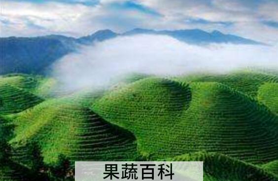 硒的功效与作用 补硒的好处有哪些