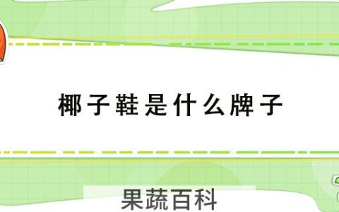 椰子鞋是什么牌子