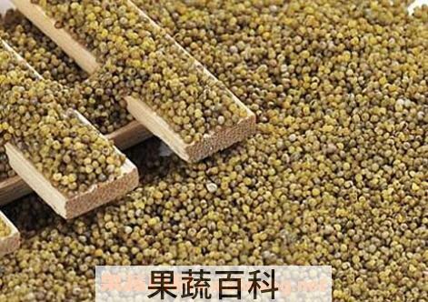 绿小米的功效与作用