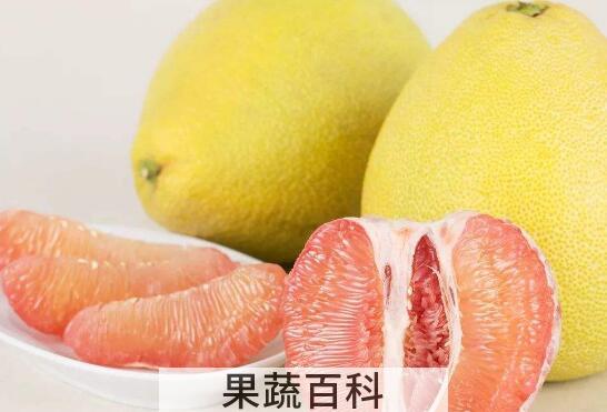 适合减肥的低糖水果
