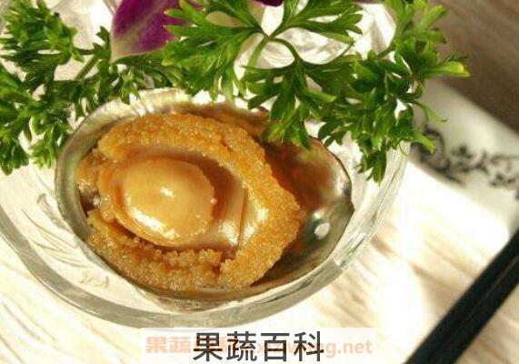 鲍鱼的营养价值及功效与作用