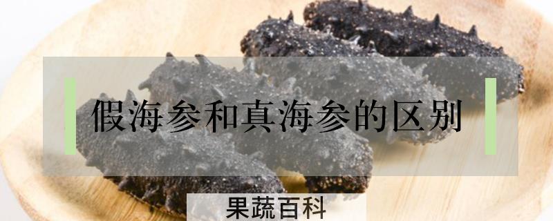 假海参和真海参的区别