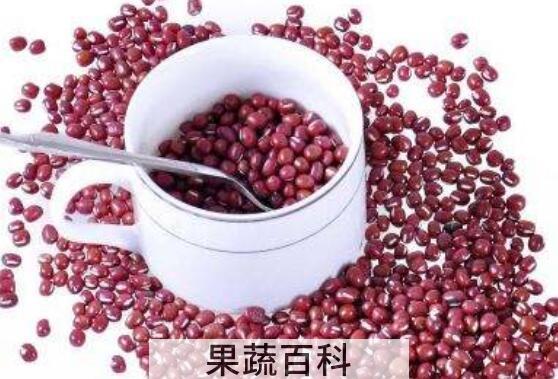食疗除湿气最好的方法