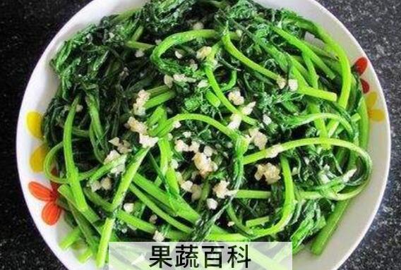 帝王菜的功效和作用