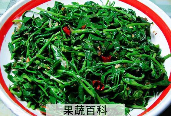 苜蓿怎么吃好 哪些人不能吃苜蓿