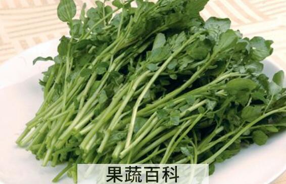 豆瓣菜的功效与作用 豆瓣菜怎么做好吃