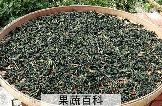 苦菜晒干泡水的功效与作用