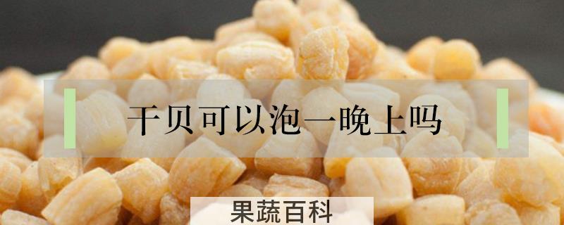 干贝可以泡一晚上吗
