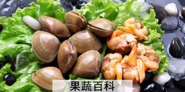 煮蚬子是冷水下锅吗