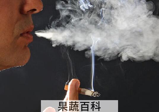 吸烟的危害有哪些 吸烟对身体的十大危害