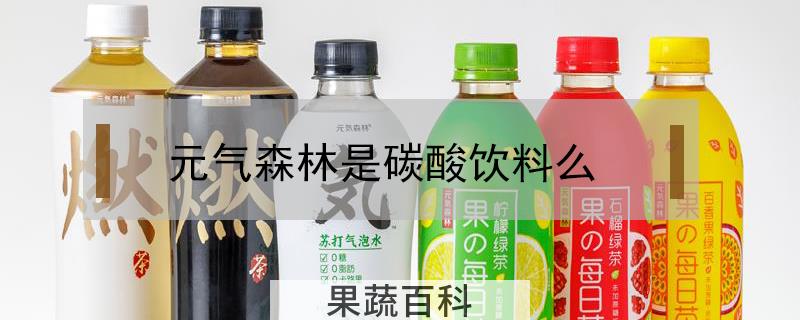 元气森林是碳酸饮料么