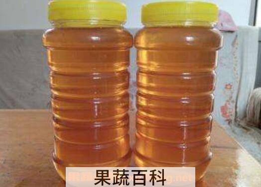 山枣蜜的功效与作用 