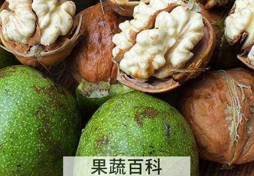 野核桃皮的功效与作用及禁忌