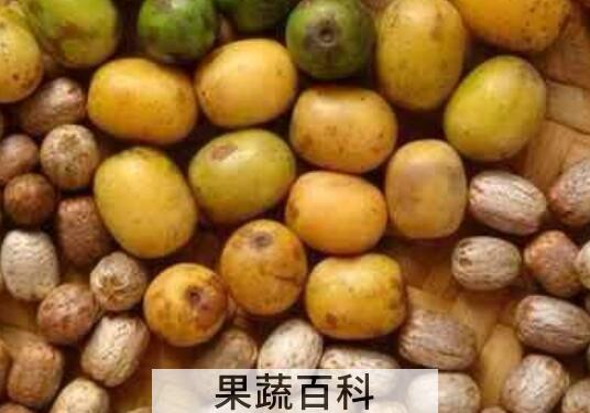南酸枣的功效与作用有哪些