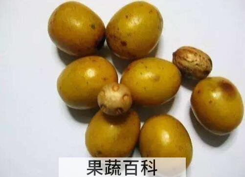 南酸枣的功效与作用有哪些