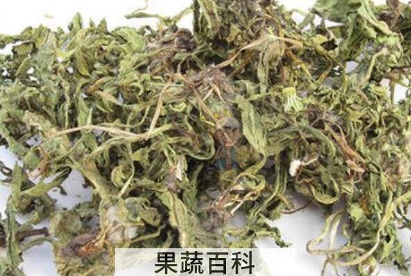 蒲公英怎么晒干的做法