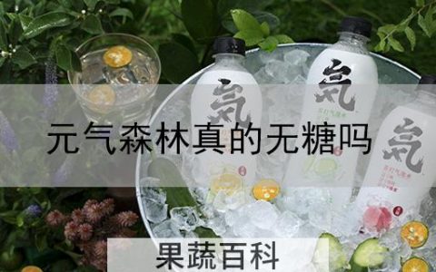 元气森林真的无糖吗