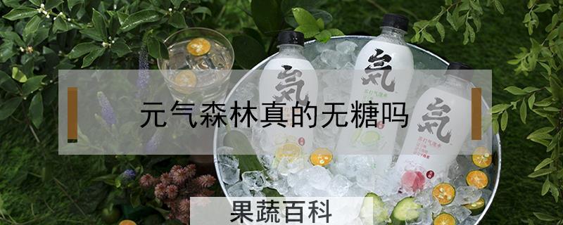 元气森林真的无糖吗