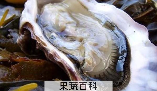 带壳生蚝怎么吃