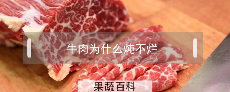 牛肉为什么炖不烂