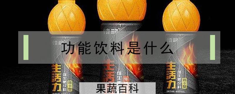 功能饮料是什么