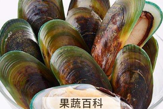 青贝哪些部位是不能吃的 吃青贝的好处