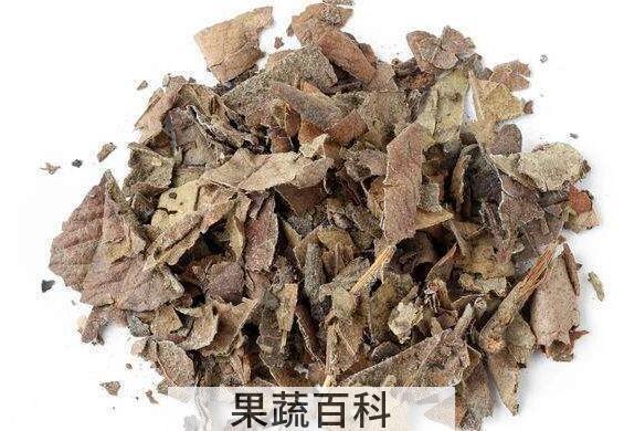 枇杷茶的功效与作用及禁忌