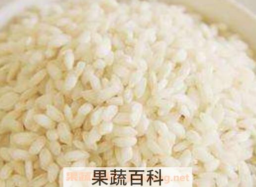 粳米的的功效与作用