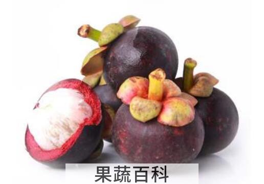 山竹皮泡盐的功效与作用