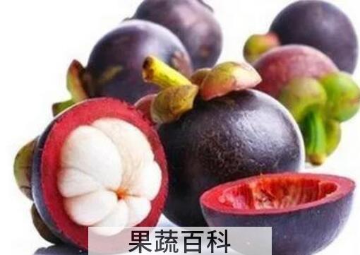 山竹皮泡盐的功效与作用