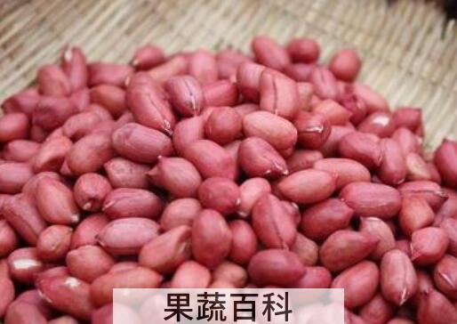 红皮花生和普通花生有什么区别