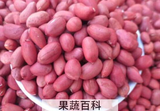 红皮花生和普通花生有什么区别