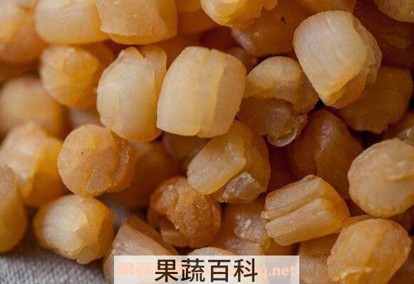 瑶柱的做法及功效