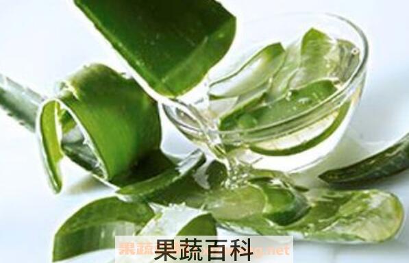 新鲜芦荟怎么煮水 怎样自制芦荟水
