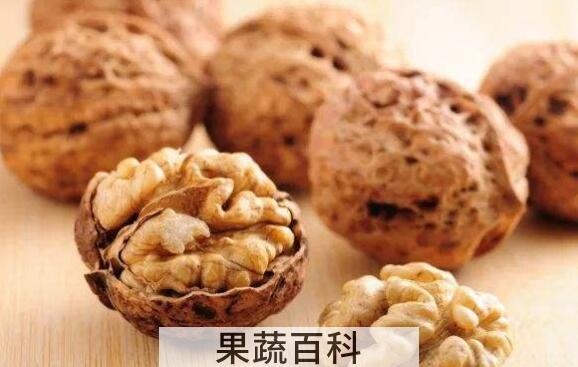 女人每天吃核桃的好处