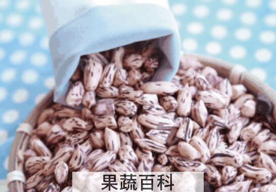七彩花生的功效与作用 七彩花生的营养价值