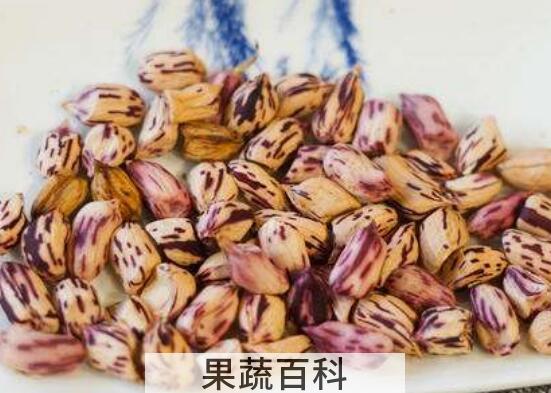 七彩花生吃了有什么好处